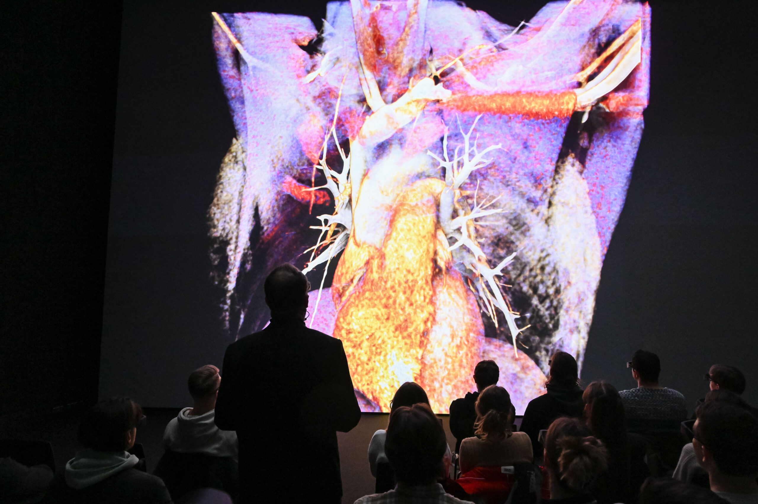 AE Gallery Image Slide